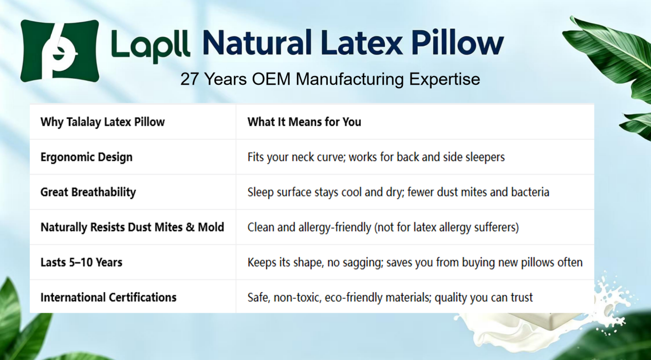 Lapll Natural Latex Pillow 27 Years OEM Manufacturing Expertise