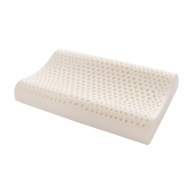 Talalay Contour Pillow