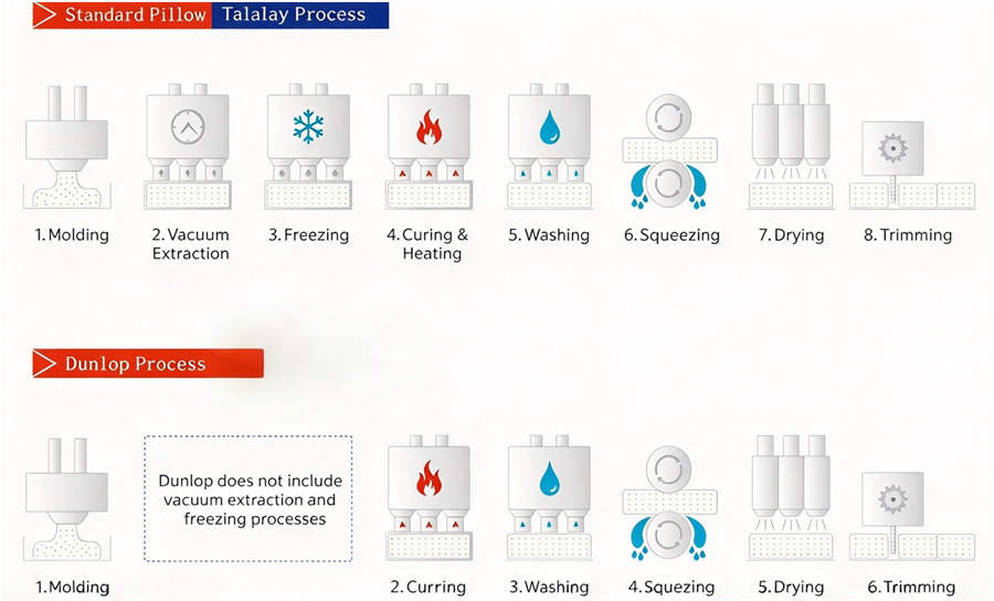 Talalay vs Dunlop latex pillow process comparison diagram