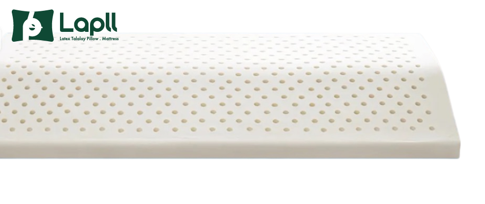 Dunlop Triangle Back Cushion